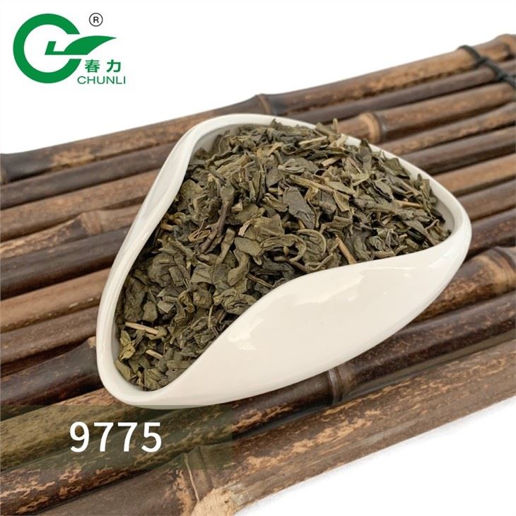 China Gunpowder Tea wholesale
